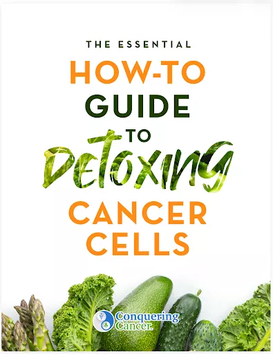 the essential how-to guide to detoxing cancer cells